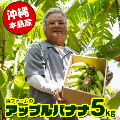 【沖縄本島産】浜ファームの「アップルバナナ」　5kg