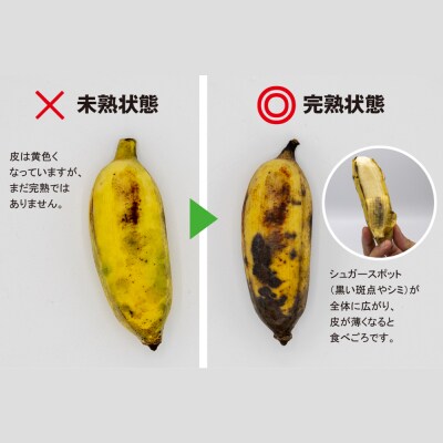 【沖縄本島産】浜ファームの「アップルバナナ」　5kg