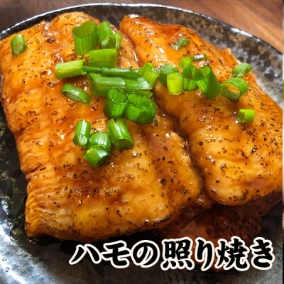 鱧の照り焼き(100g×5切れ)【冷凍】【A-44】