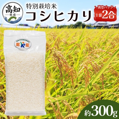 米(コシヒカリ) 2合(300g)×2 真空パック ke-0059