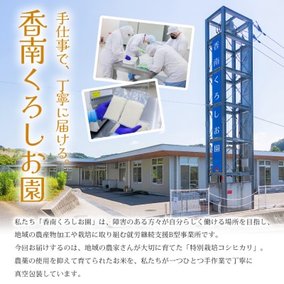 米(コシヒカリ) 2合(300g)×2 真空パック ke-0059
