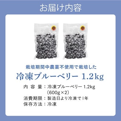 栽培期間中農薬不使用!急速冷凍ブルーベリー 1.2kg 【JAほたるの里】_AS1517-00