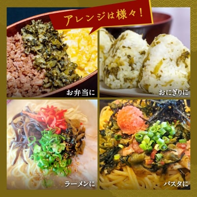 辛子高菜 250g×4パック【魚住商店】_AS1585-00
