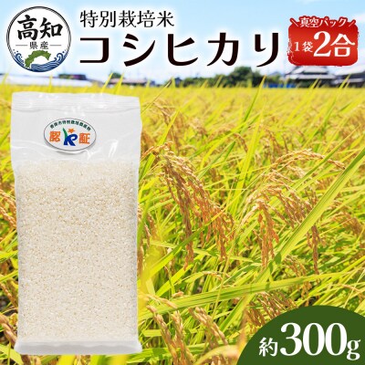 米(コシヒカリ) 2合(300g)×5 真空パック ke-0062