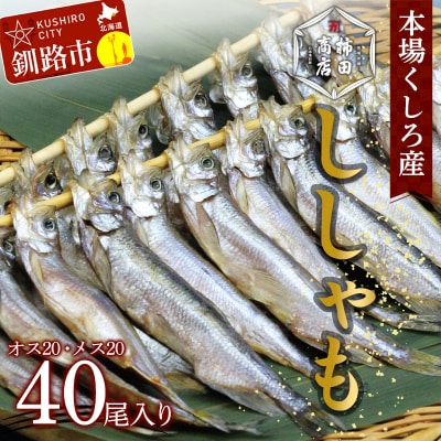 本場くしろ産 ししゃもオス・メス40尾入り! 本ししゃも F4F-9165
