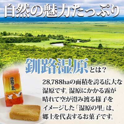 湿原の里 10個×2P 計20個入り 個包装 釧路銘菓 カステラ風焼き菓子 白あん F4F-5313