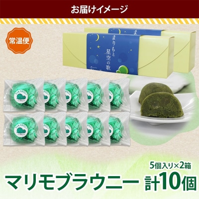 マリモブラウニー 5個入り×2P 計10個入り 個包装 釧路銘菓 F4F-5317
