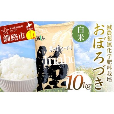 令和7年度産・新米 減農薬9割減 ・ 化学肥料不使用おぼろづき 10kg 白米 F4F-9402