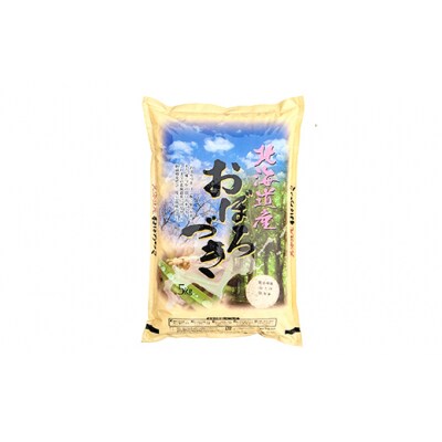令和7年度産・新米 減農薬9割減 ・ 化学肥料不使用おぼろづき 5kg 白米 F4F-9428