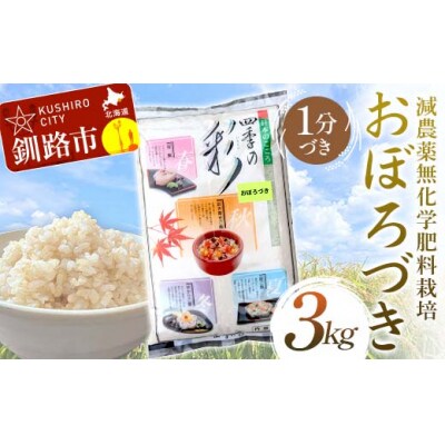 令和7年度産・新米 減農薬9割減 ・ 化学肥料不使用おぼろづき 3kg 1分づき F4F-9441