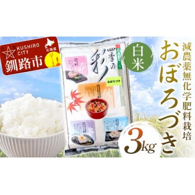 令和7年度産・新米 減農薬9割減・化学肥料不使用おぼろづき 3kg 白米 F5F-0094