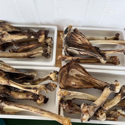 エゾ鹿肉レッグボーンMIX(無添加ペットおやつ) ペット おやつ 愛犬 犬 ご褒美 F4F-8371
