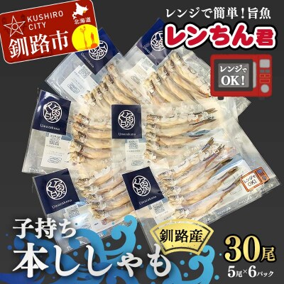 レンちん君釧路産子持ち本ししゃも30尾セット シシャモ 冷凍 魚 海産物 一夜干し F4F-8444