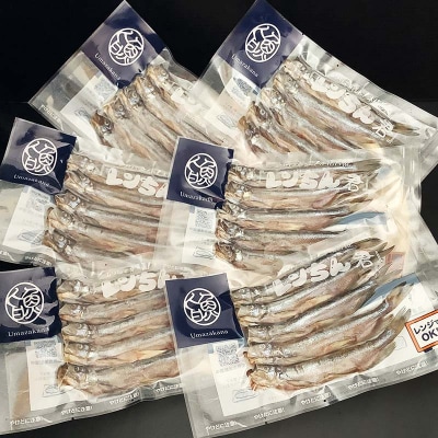 レンちん君釧路産本しゃもオス30尾セット シシャモ 冷凍 魚 海産物 一夜干し F4F-8445