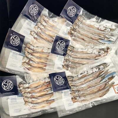 レンちん君釧路産本ししゃもセット シシャモ 冷凍 魚 海産物 一夜干し 北海道 F4F-8446