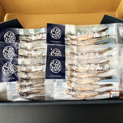 レンちん君釧路産本ししゃもセット シシャモ 冷凍 魚 海産物 一夜干し 北海道 F4F-8446