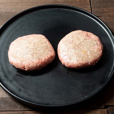 北海道産手作りジューシーハンバーグ100g 2個入×5パック 無添加 ハンバーグ F4F-8542