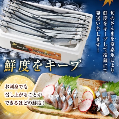 期間限定 新鮮 生さんま 2kg 13～15尾 【2026年10月上旬より発送開始】