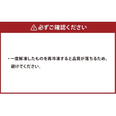 【 訳あり 】 北海道産 ホタテ貝柱 冷凍 500g