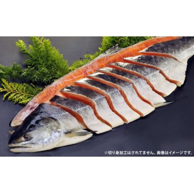 【 7日程度で発送 】 定置網漁法 【 道東産 】 船上活〆トキシラズ 2枚卸姿身 2.5kg