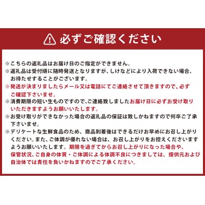  釧路管内産 【 活 】 牡蠣 ( 大 ) 10個 ( 1個あたり約140～190g )