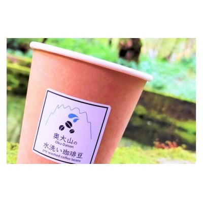 スペシャルブレンド ブナの森 粉 お試し70g×2 コーヒー 奥大山の水洗い珈琲