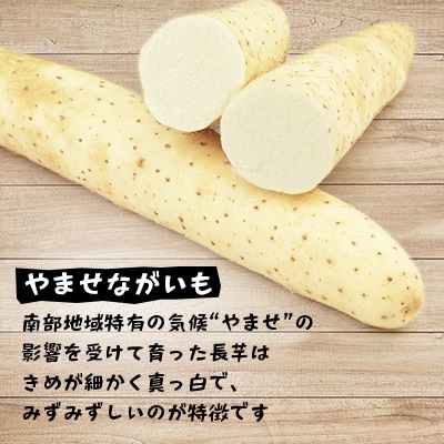 青森県三沢市　さらさらふんわり【やませながいも冷凍とろろ】(80g×12個)