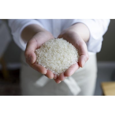 【毎月定期便】青森県産 まっしぐら 白米10kg全6回