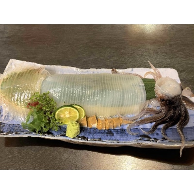 鮮度抜群いか刺し 青森県三沢産 赤とんぼ 約150g×2枚(計約300g)