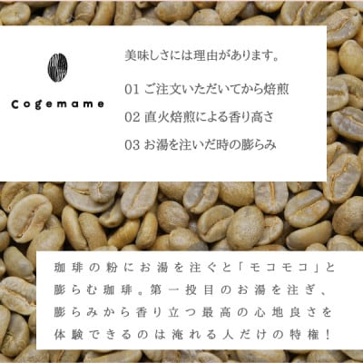 ドリップバック5種のセット