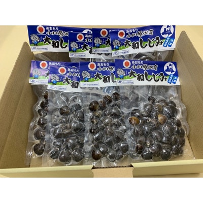 青森県　小川原湖産大和しじみ(冷凍)150g×8p