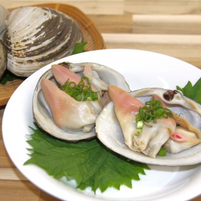 砂取りホッキ貝(加熱用)　10個(5入×2袋)