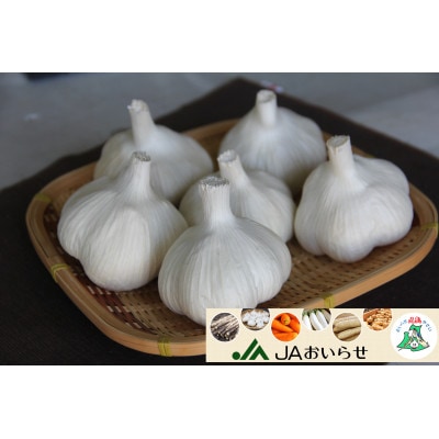 【JAおいらせ】青森県三沢市産　おいらせ匠にんにく