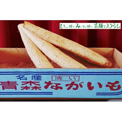 【JAおいらせ】青森県三沢市産　長いも　5kg