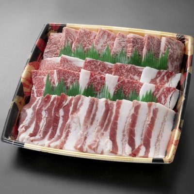 黒毛和牛と黒豚の焼肉詰合せ ご自宅用　ss0369