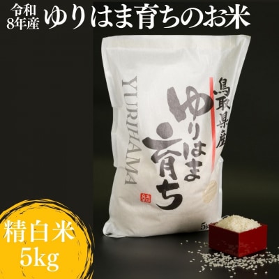 ゆりはま育ちのお米◇精白米5kg◇令和8年産(332M.)