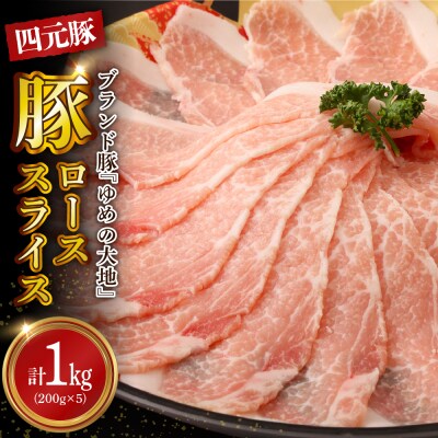 【えりも町生まれ 四元豚】ゆめの大地豚ローススライス200g×5パック計1kg【er020-001】