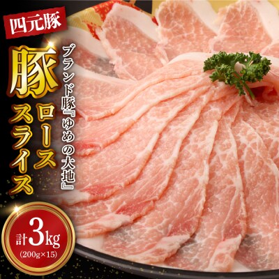 【えりも町生まれ 四元豚】ゆめの大地豚ローススライス200g×15パック 計3kg