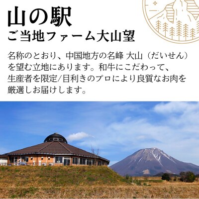 鳥取和牛希少部位焼肉セット 計500g 3～4種 鳥取県産 ご当地ファーム大山望 MK1 0992