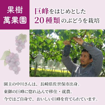 萬果園 巨峰ジュース500ml×2本&巨峰ジャム2個セット