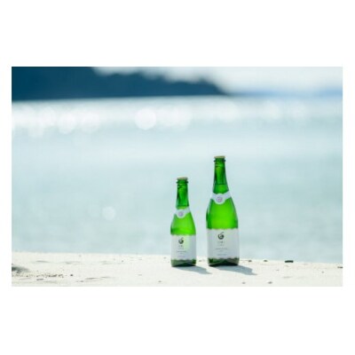 【山口産りんご】UMIシードル-ドライ-(375ml×1本)やまぐちシードル D615