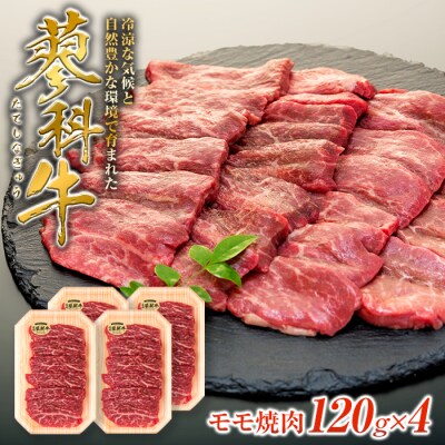 蓼科牛モモ焼肉120g×4　　　　