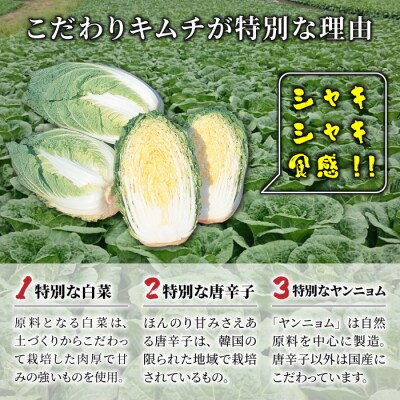 無添加!信州望月高原こだわりキムチ 4個セット【カナモト食品】国産キムチ 白菜 発酵食品 漬物