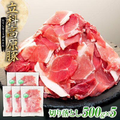 立科高原豚切り落とし500g×5P　