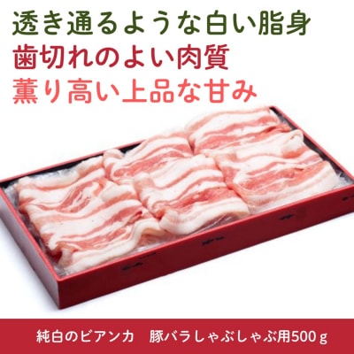 純白のビアンカ 豚バラしゃぶしゃぶ用 500g