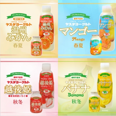 【3年連続最高金賞】ヤスダヨーグルト 500ml×6本 バラエティセット 化粧箱
