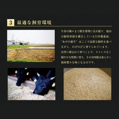 あがの姫牛 切り落とし 800g