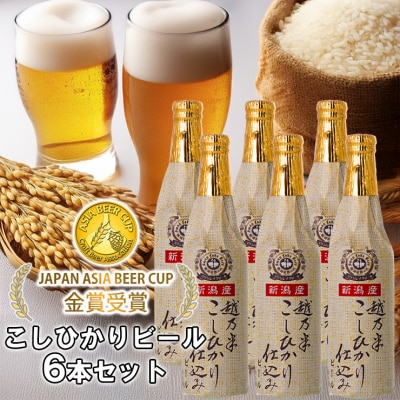 ビール スワンレイクビール 金賞受賞入り こしひかり仕込み ビールセット 阿賀野市 新潟県 阿賀野