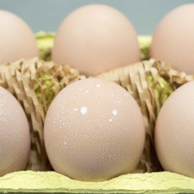 【あずさと四種の地鶏詰め合わせ】あじわいたまごセット 卵 たまご 地鶏