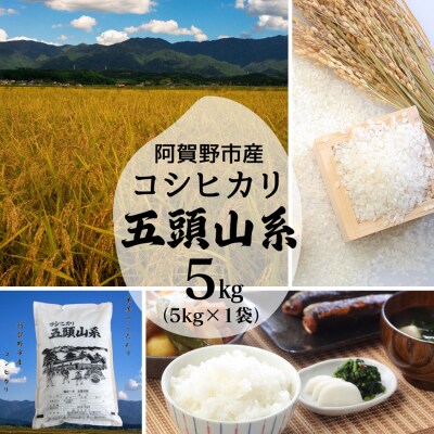 【令和7年産】「五頭山系」コシヒカリ5kg米屋のこだわり阿賀野市産
